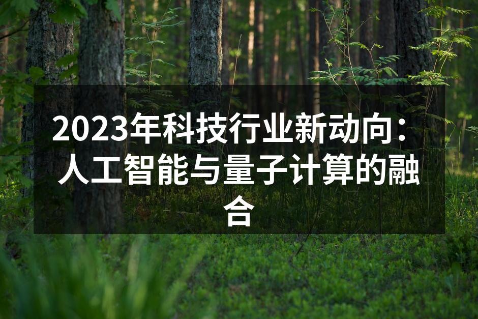 人工智能与量子计算的结合